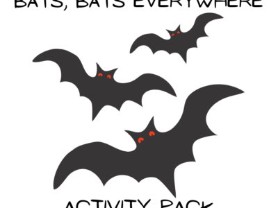 Bats everywhere cover picture. White background with black text saying bats, bats everywhere activity pack and a picture of 3 bats.