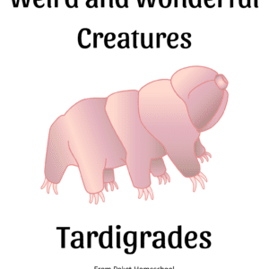 Tardigrade unit study cover. Drawn picture of a tardigrade with the words Weird and Wonderful Creatures Tardigrades