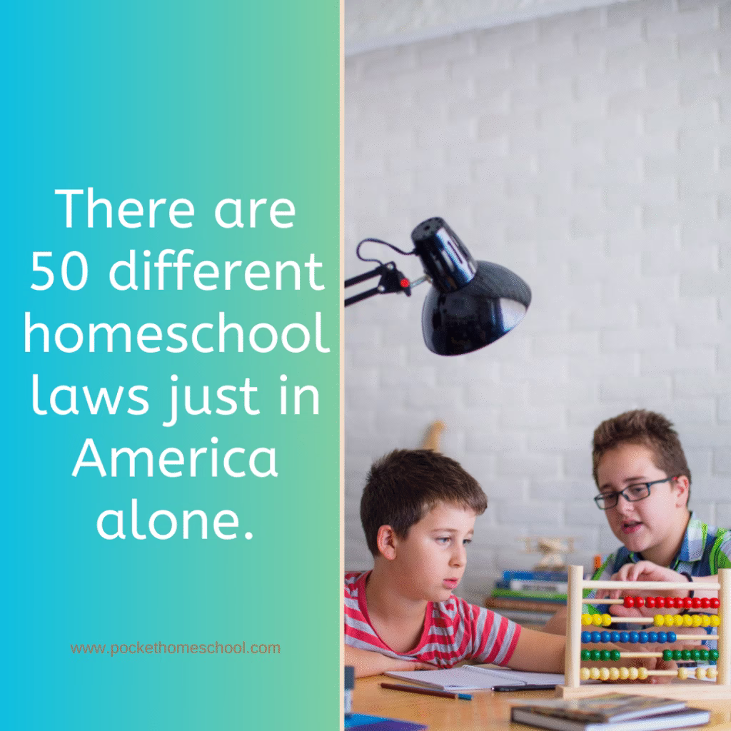 There are 50 different homeschool laws just in America alone. What qualifications do you need to homeschool? Image features text on a blue background on one side and two boys looking at an abacus on the other side.