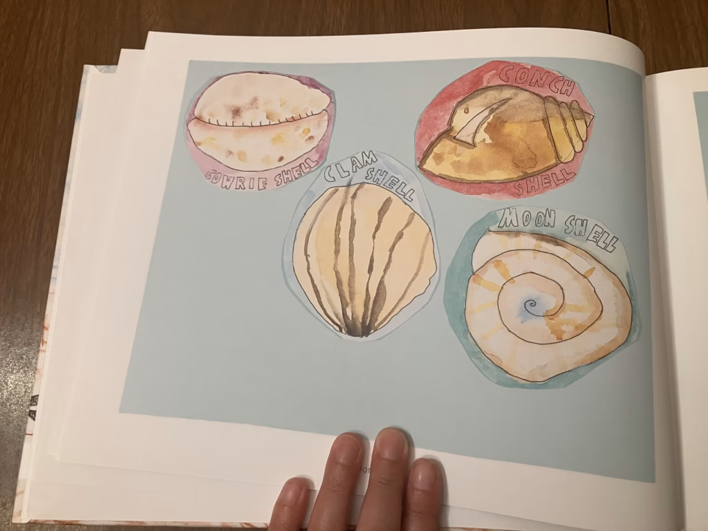 A page of the Artkive book shows four watercolor shell artworks, a cowrie shell on a purple background, a clam shell on a blue background, a conch shell on a red background and a moon shell on a blue green background. All the shells are attached to a blue piece of paper and have been photographed and reproduced inside the Artkive book.